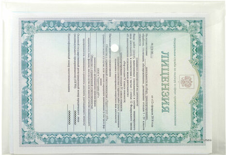 Папка-конверт с кнопкой ERICH KRAUSE "Fizzy Clear", А4, до 120 листов, прозрачная, 0,12 мм, 50172