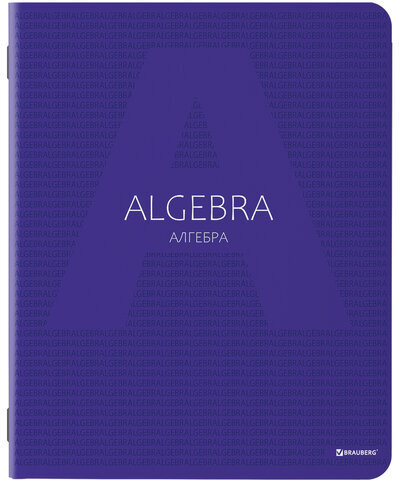 Тетради предметные, КОМПЛЕКТ 10 ПРЕДМЕТОВ, "COLOR", 48 листов, матовая ламинация, лак, BRAUBERG, 404029