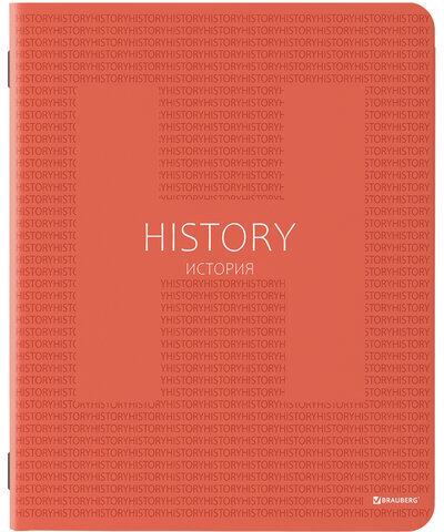 Тетради предметные, КОМПЛЕКТ 10 ПРЕДМЕТОВ, "COLOR", 48 листов, матовая ламинация, лак, BRAUBERG, 404029