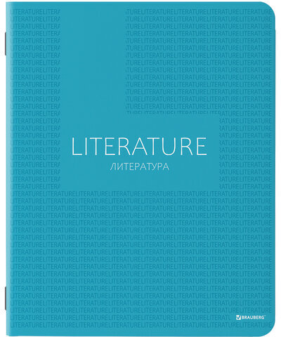 Тетради предметные, КОМПЛЕКТ 10 ПРЕДМЕТОВ, "COLOR", 48 листов, матовая ламинация, лак, BRAUBERG, 404029