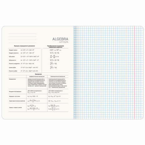 Тетради предметные, КОМПЛЕКТ 12 ПРЕДМЕТОВ, "КОТ-ЭНТУЗИАСТ", 48 л., TWIN-лак, BRAUBERG, 404609