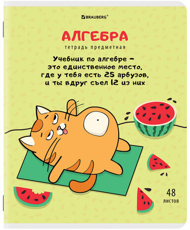 Тетради предметные, КОМПЛЕКТ 12 ПРЕДМЕТОВ, "КОТ-ЭНТУЗИАСТ", 48 л., TWIN-лак, BRAUBERG, 404609