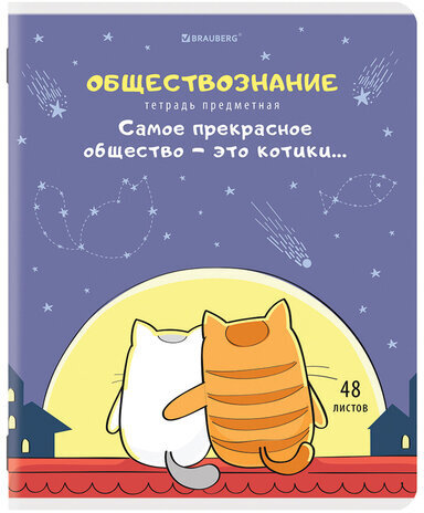 Тетради предметные, КОМПЛЕКТ 12 ПРЕДМЕТОВ, "КОТ-ЭНТУЗИАСТ", 48 л., TWIN-лак, BRAUBERG, 404609
