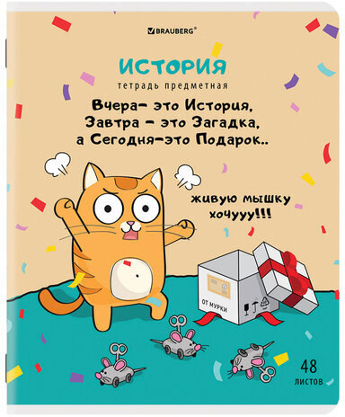 Тетради предметные, КОМПЛЕКТ 12 ПРЕДМЕТОВ, "КОТ-ЭНТУЗИАСТ", 48 л., TWIN-лак, BRAUBERG, 404609