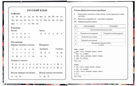 Дневник 1-4 класс 48 л., твердый, ЮНЛАНДИЯ, глянцевая ламинация, с подсказом, "Flower Girl", 106354
