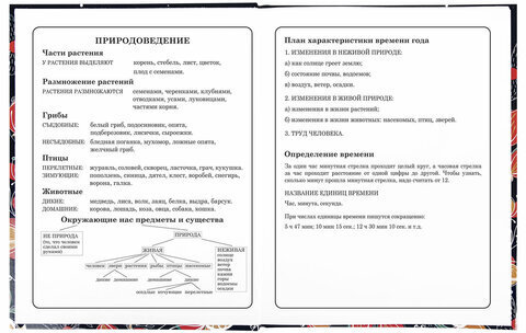 Дневник 1-4 класс 48 л., твердый, ЮНЛАНДИЯ, глянцевая ламинация, с подсказом, "Flower Girl", 106354