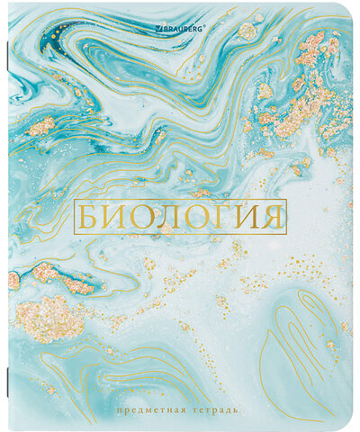 Тетради предметные со справочным материалом, КОМПЛЕКТ 10 ПРЕДМЕТОВ, "PASTEL", 48 л., SoftTouch, фольга, BRAUBERG, 404031