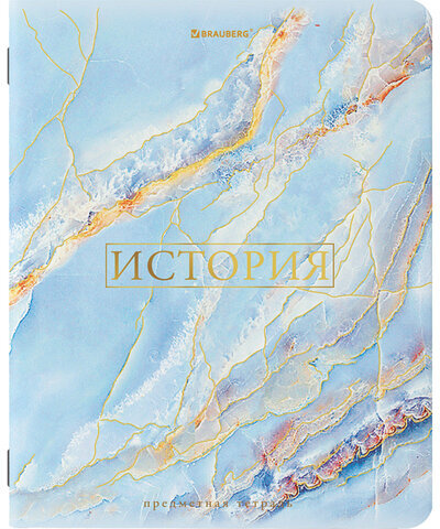 Тетради предметные со справочным материалом, КОМПЛЕКТ 10 ПРЕДМЕТОВ, "PASTEL", 48 л., SoftTouch, фольга, BRAUBERG, 404031