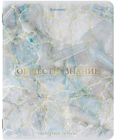 Тетради предметные со справочным материалом, КОМПЛЕКТ 10 ПРЕДМЕТОВ, "PASTEL", 48 л., SoftTouch, фольга, BRAUBERG, 404031