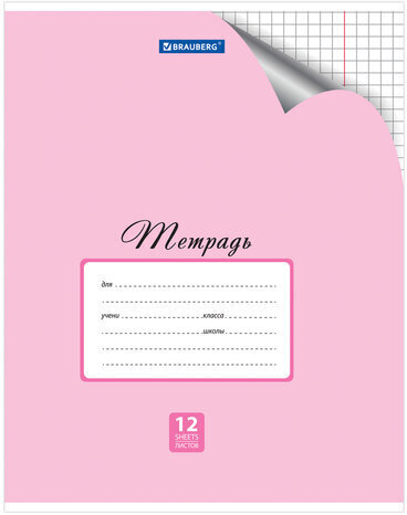 Тетрадь 12 л. BRAUBERG "ЭКО", клетка, обложка плотная мелованная бумага, ПАСТЕЛЬНАЯ С УГОЛКОМ, 104503