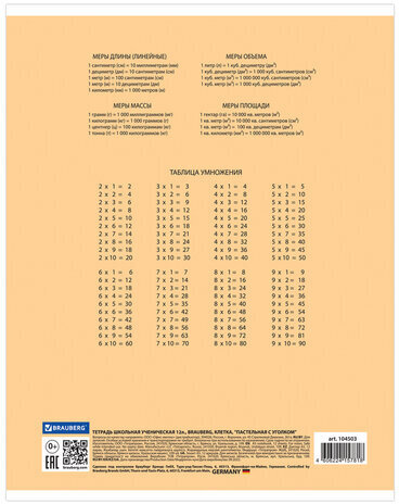 Тетрадь 12 л. BRAUBERG "ЭКО", клетка, обложка плотная мелованная бумага, ПАСТЕЛЬНАЯ С УГОЛКОМ, 104503