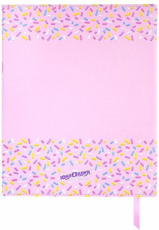 Дневник 1-11 класс 48 л., кожзам (твердая), магнитный клапан, ЮНЛАНДИЯ, "Мороженка", 106184