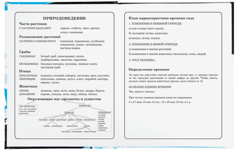 Дневник 1-4 класс 48 л., твердый, BRAUBERG, глянцевая ламинация, с подсказом, "MotoStyle", 106355