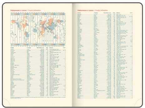 Ежедневник датированный 2026 B6 125х173 мм, GALANT "Vivid", под кожу, серый, 117410