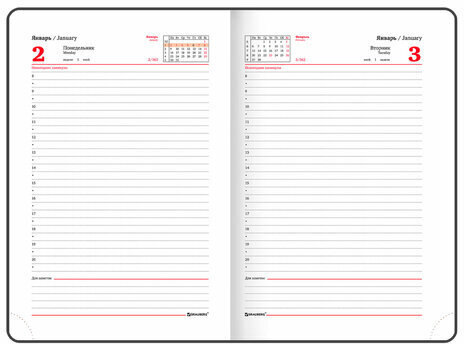 Ежедневник датированный 2023 А5 138x213 мм BRAUBERG "Towny", под кожу, клапан, белый, 114011