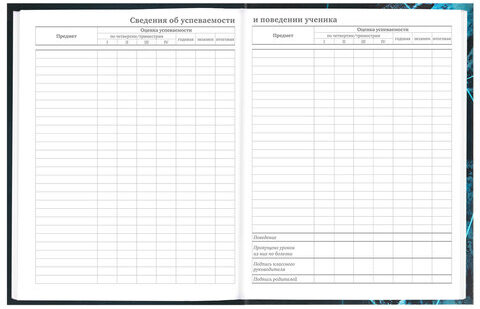 Дневник 5-11 класс 48 л., твердый, BRAUBERG, глянцевая ламинация, с подсказом, "Интернет", 106869