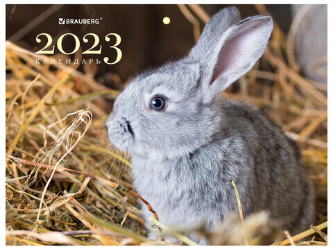 Календарь квартальный на 2023 г., 3 блока, 3 гребня, с бегунком, офсет, "FUNNY BUNNY", BRAUBERG, 114223
