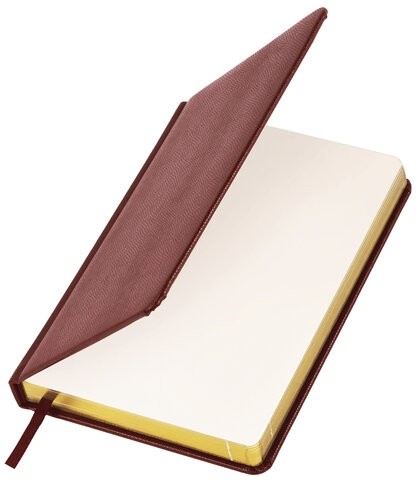 Ежедневник недатированный А5 138х213 мм BRAUBERG "Iguana" под кожу, 160 л., темно-коричневый, 125090