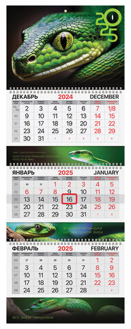 Календарь квартальный на 2025 г., 3 блока, 3 гребня, с бегунком, мелованная бумага, BRAUBERG EXTRA, "Символ года", 116147