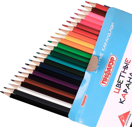 Карандаши цветные ПИФАГОР "Веселые акулята", 24 цвета, классические, заточенные, 181818