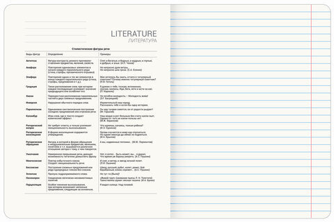 Тетрадь предметная "GRADIENT" 48 л., матовая ламинация, лак, ЛИТЕРАТУРА, линия, BRAUBERG, 404293