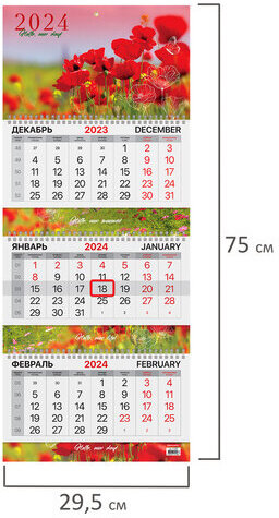 Календарь квартальный на 2024 г., 3 блока, 3 гребня, с бегунком, мелованная бумага, EXTRA, BRAUBERG, "Маки", 115299