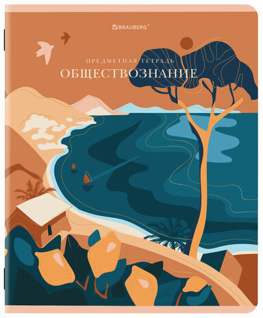 Тетради предметные, КОМПЛЕКТ 12 ПРЕДМЕТОВ, "ELEGANCE", 48 л., SoftTouch, фольга, BRAUBERG, 404611