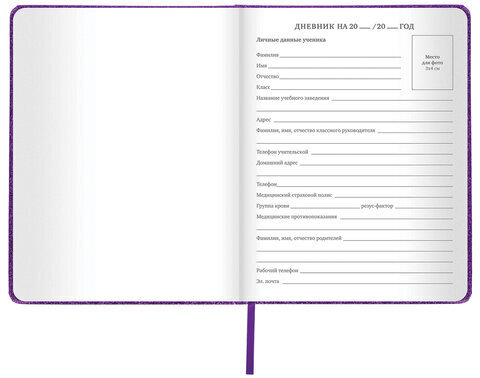 Дневник 1-11 класс 48 л., кожзам (твердая с поролоном), фольга, BRAUBERG "SPARKLE", фиолетовый, 105461