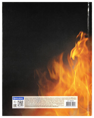 Дневник 1-4 класс 48 л., твердый, BRAUBERG, глянцевая ламинация, с подсказом, "Fire Road", 106356