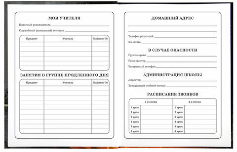 Дневник 1-4 класс 48 л., твердый, BRAUBERG, глянцевая ламинация, с подсказом, "Fire Road", 106356