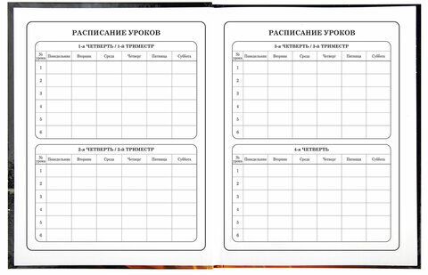 Дневник 1-4 класс 48 л., твердый, BRAUBERG, глянцевая ламинация, с подсказом, "Fire Road", 106356
