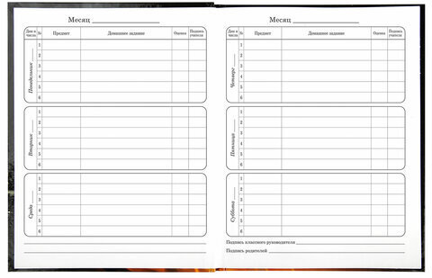 Дневник 1-4 класс 48 л., твердый, BRAUBERG, глянцевая ламинация, с подсказом, "Fire Road", 106356