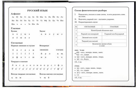 Дневник 1-4 класс 48 л., твердый, BRAUBERG, глянцевая ламинация, с подсказом, "Fire Road", 106356