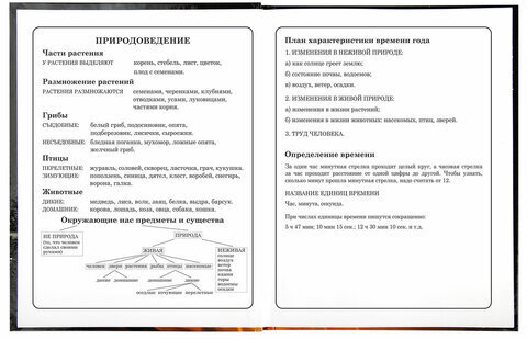 Дневник 1-4 класс 48 л., твердый, BRAUBERG, глянцевая ламинация, с подсказом, "Fire Road", 106356
