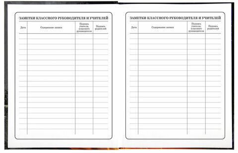 Дневник 1-4 класс 48 л., твердый, BRAUBERG, глянцевая ламинация, с подсказом, "Fire Road", 106356