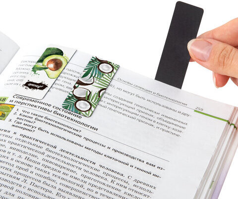 Закладки для книг МАГНИТНЫЕ, "FRUITS", набор 12 шт., 60x20 мм, BRAUBERG, 113173