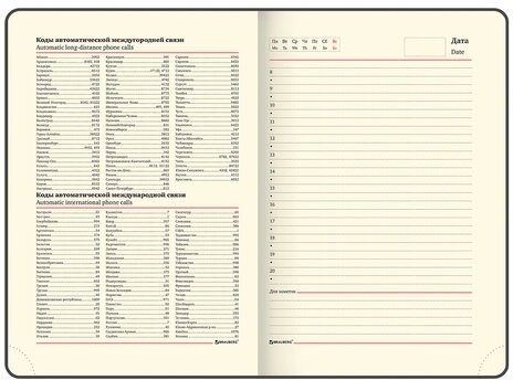 Ежедневник недатированный А5 138х213 мм BRAUBERG "Iguana" под кожу, 160 л, темно-синий, 125091