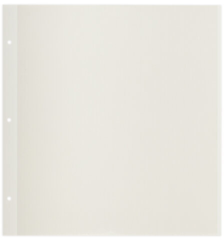 Листы для фотоальбома магнитные 30х32 см, КОМПЛЕКТ 10 штук, BRAUBERG, 391313