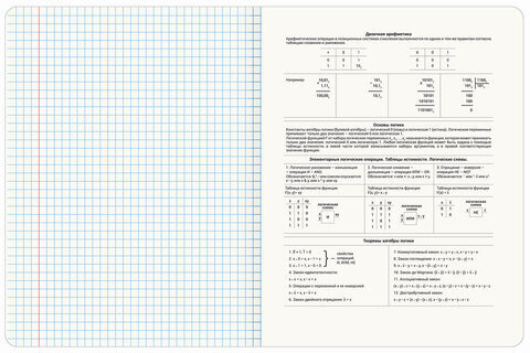 Тетрадь предметная "ANIME GIRLS" 48 л., матовая ламинация, ИНФОРМАТИКА, клетка, подсказ, BRAUBERG, 404752