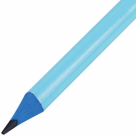 Набор карандашей чернографитных с ластиком BRAUBERG "PASTEL" 12 шт., HB, 181997