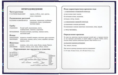 Дневник 1-4 класс 48 л., твердый, ЮНЛАНДИЯ, глянцевая ламинация, с подсказом, "Little star", 106597