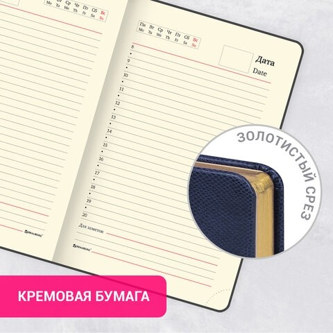 Ежедневник недатированный МАЛЫЙ ФОРМАТ 100x150 мм А6 BRAUBERG "Iguana", под кожу, 160 л., синий, 114467