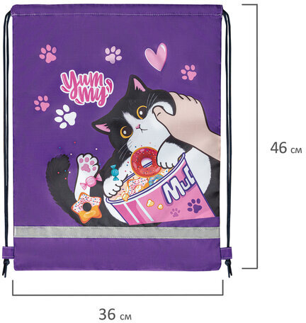 Мешок для обуви BRAUBERG KIDS, светоотражающая полоса, 46х36 см, "Sweet cheeks", 272390