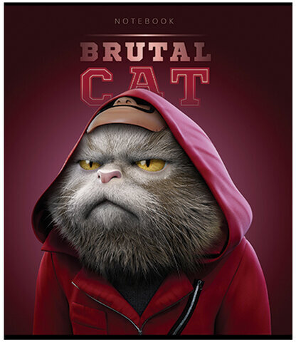 Тетрадь А5 48 л., ПЗБМ, скоба, клетка, конгрев, TWIN-лак, "Брутальные коты" (5 видов), 27391