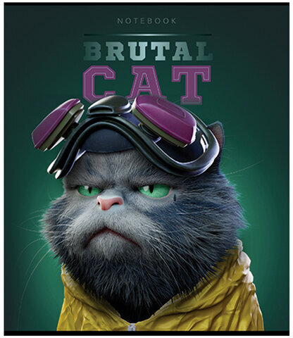 Тетрадь А5 48 л., ПЗБМ, скоба, клетка, конгрев, TWIN-лак, "Брутальные коты" (5 видов), 27391