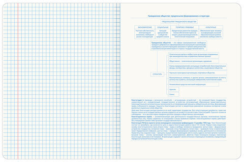 Тетрадь предметная со справочным материалом ORIGINAL 48 л., TWIN лак, ОБЩЕСТВОЗНАНИЕ, клетка, BRAUBERG, 404298