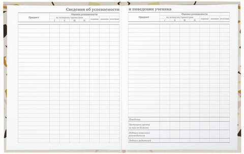 Дневник 5-11 класс 48 л., твердый, BRAUBERG, глянцевая ламинация, с подсказом, "Terrazzo", 106871