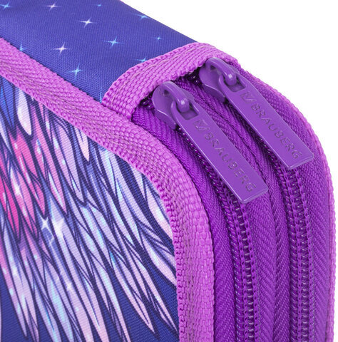 Пенал BRAUBERG, 2 отделения, полиэстер, 21х14 см, "Wings", 270321