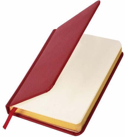 Ежедневник недатированный МАЛЫЙ ФОРМАТ 100x150 мм А6 BRAUBERG "Iguana", под кожу, 160 л., красный, 114468