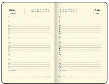 Ежедневник недатированный МАЛЫЙ ФОРМАТ 100x150 мм А6 BRAUBERG "Iguana", под кожу, 160 л., красный, 114468